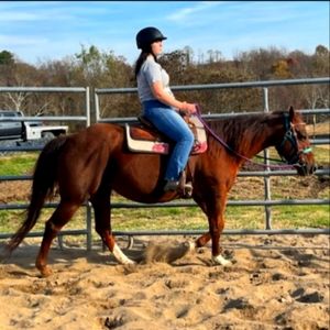 Meet your Posher, Natalie